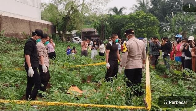 Tanpa Busana Mayat Wanita Ditemukan di Kebun Singkong Bogor